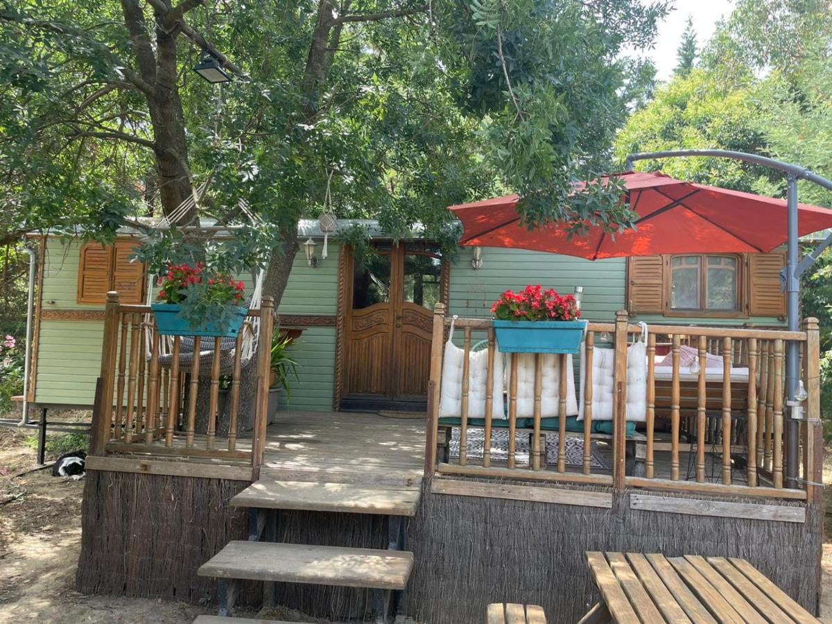 Roulotte En Bois Sud France Konuk evi Le Soler Dış mekan fotoğraf
