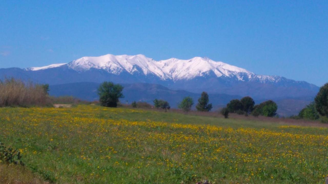 Roulotte En Bois Sud France Konuk evi Le Soler Dış mekan fotoğraf