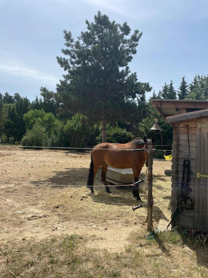 Roulotte En Bois Sud France Konuk evi Le Soler Dış mekan fotoğraf
