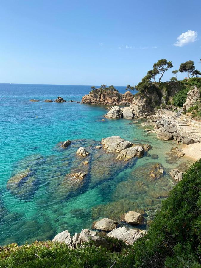 Roulotte En Bois Sud France Konuk evi Le Soler Dış mekan fotoğraf