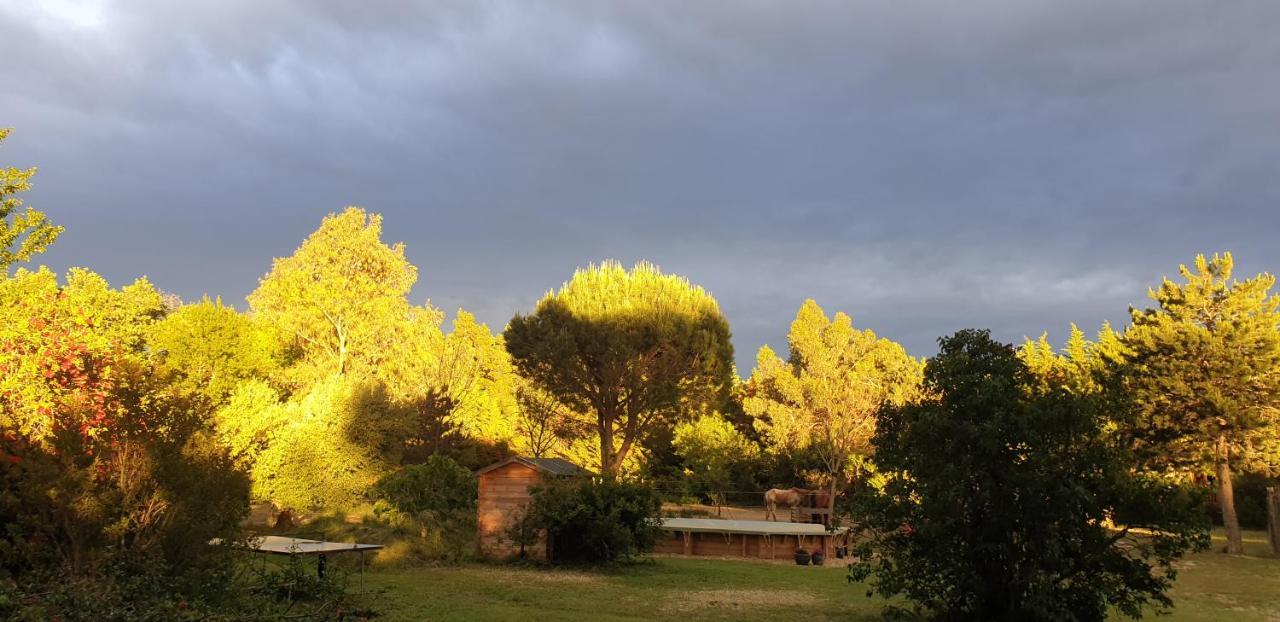 Roulotte En Bois Sud France Konuk evi Le Soler Dış mekan fotoğraf