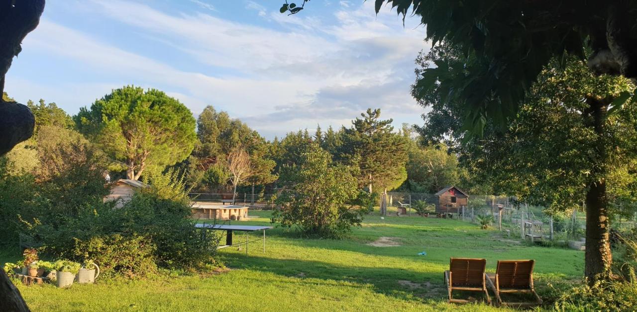 Roulotte En Bois Sud France Konuk evi Le Soler Dış mekan fotoğraf